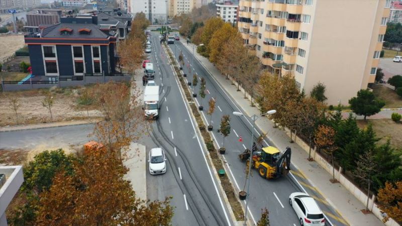 Ağaçlandırma ve Budama  Çalışmalarına Devam