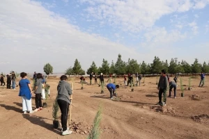 Öğrenciler fidan dikti