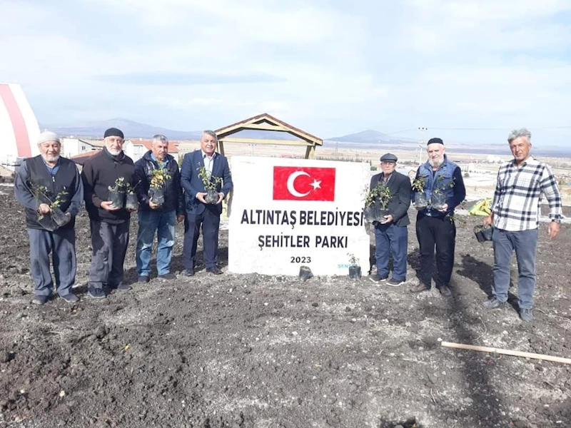 11 Kasım Milli Ağaçlandırma Günü kutlu olsun.