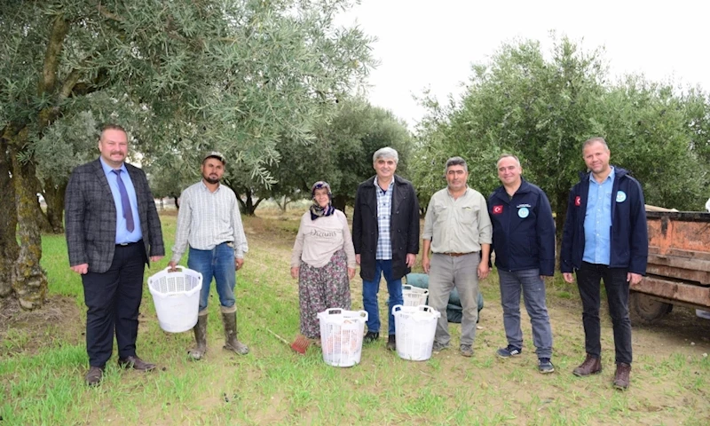 Ahmetli’de Zeytin Emekçilerine Büyükşehir’den Koruyucu Malzeme