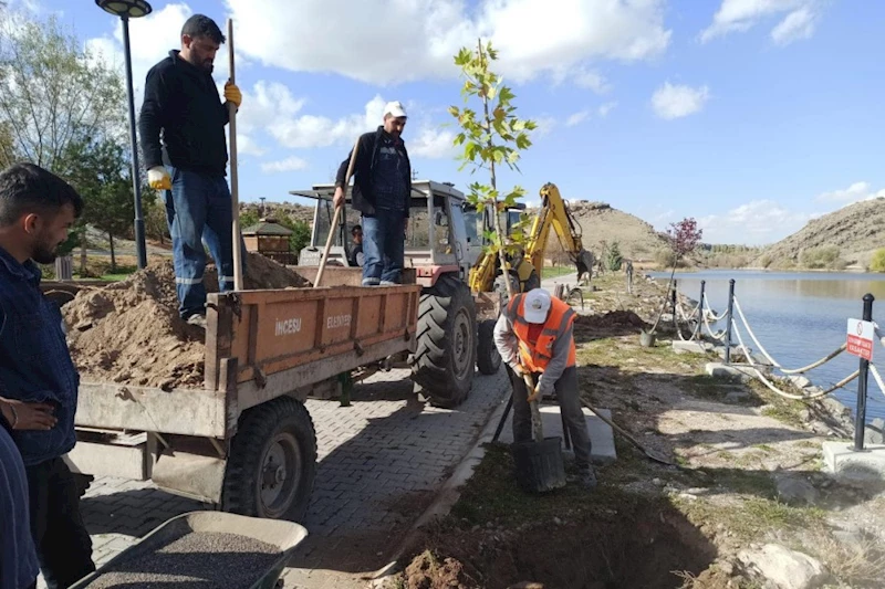 İncesu Belediyesi Park ve Bahçeler Müdürlüğü ekiplerimiz Marina kıyısında ağaçlandırma çalışması yapmıştır.