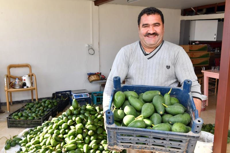 Büyükşehir, Üreticilere Alternatif Gelir Kapıları Oluşturmaya Devam Ediyor