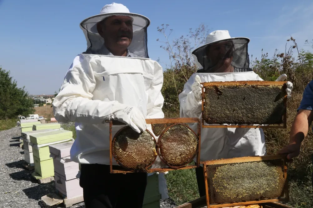 Büyükçekmece’de İlk Bal Hasadı Gerçekleşti