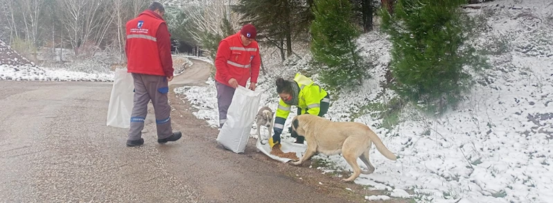 Soğuk Havada Can Dostlara Mama Desteği…