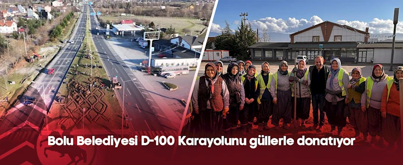 Bolu Belediyesi D-100 Karayolunu güllerle donatıyor