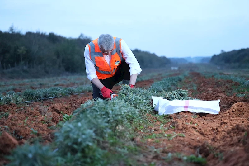 Toprağının bereketi Sakarya’yı dünya sahnesine taşıyor