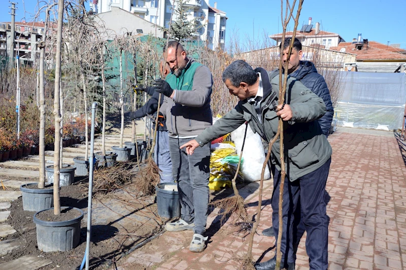 GÜLBAHÇE PEYZAJ VE ÇİÇEK SATIŞ EVİ’NDE YENİ SEZON MEYVE FİDANI SATIŞLARI BAŞLADI