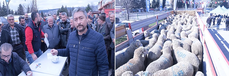 Büyükşehir’den üreticiye koç ve teke desteği