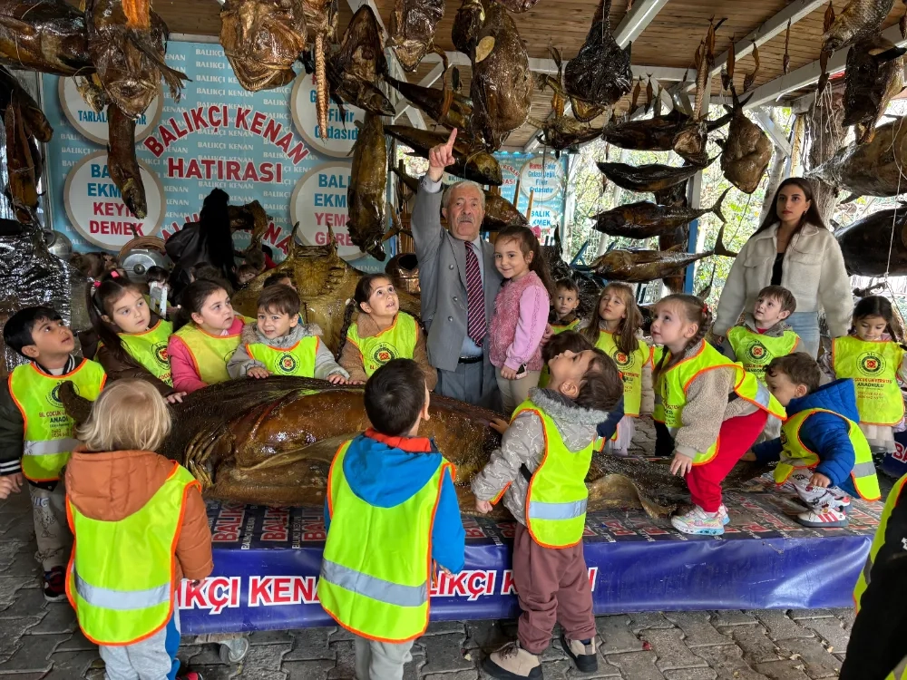 Minikler Mumya Balıklarını Yerinde İnceledi